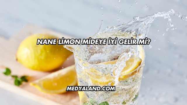 Nane Limon Mideye İyi Gelir mi?