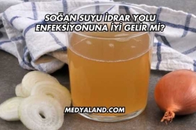Soğan Suyu İdrar Yolu Enfeksiyonuna İyi Gelir mi