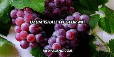 Üzüm İshale İyi Gelir mi?