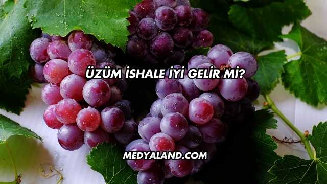 Üzüm İshale İyi Gelir mi?