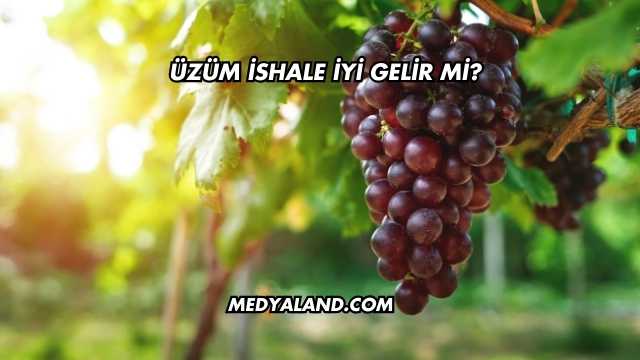 Üzüm İshale İyi Gelir mi?