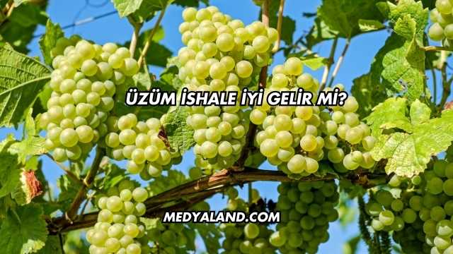 Üzüm İshale İyi Gelir mi?