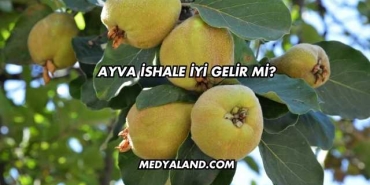Ayva İshale İyi Gelir mi?