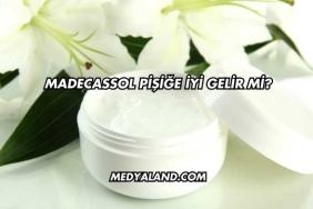 Madecassol Pişiğe İyi Gelir mi?