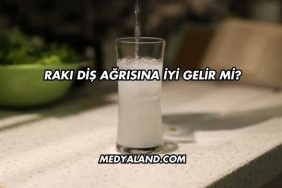 Rakı Diş Ağrısına İyi Gelir mi