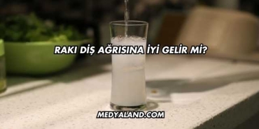 Rakı Diş Ağrısına İyi Gelir mi