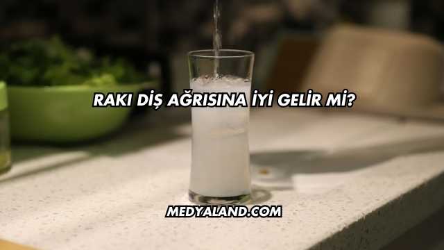 Rakı Diş Ağrısına İyi Gelir mi