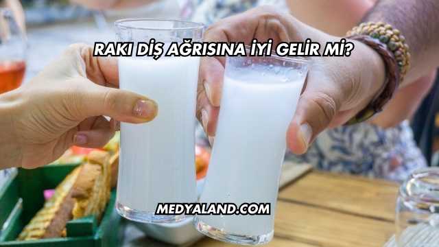 Rakı Diş Ağrısına İyi Gelir mi