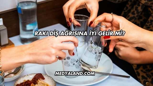 Rakı Diş Ağrısına İyi Gelir mi