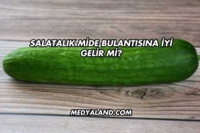 Salatalık Mide Bulantısına İyi Gelir mi?