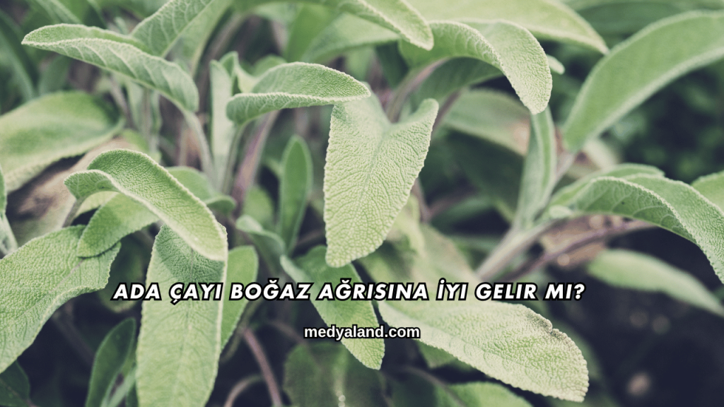 Ada Çayı Boğaz Ağrısına İyi Gelir mi?