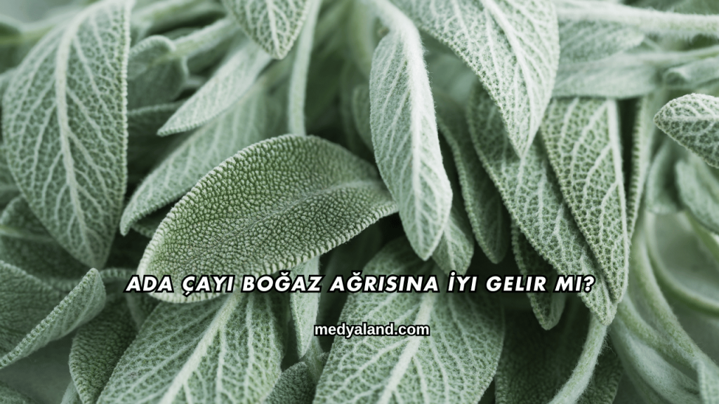 Ada Çayı Boğaz Ağrısına İyi Gelir mi?