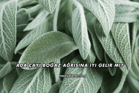 Ada Çayı Boğaz Ağrısına İyi Gelir mi?