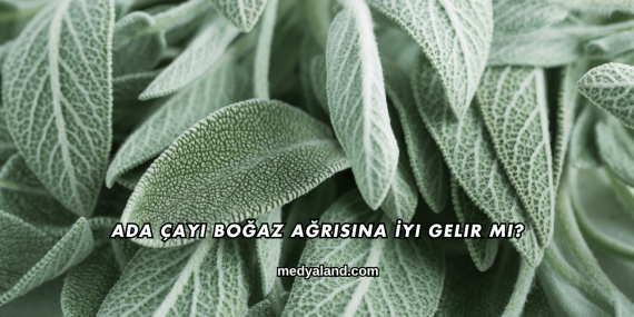 Ada Çayı Boğaz Ağrısına İyi Gelir mi?