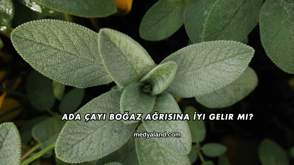 Ada Çayı Boğaz Ağrısına İyi Gelir mi?