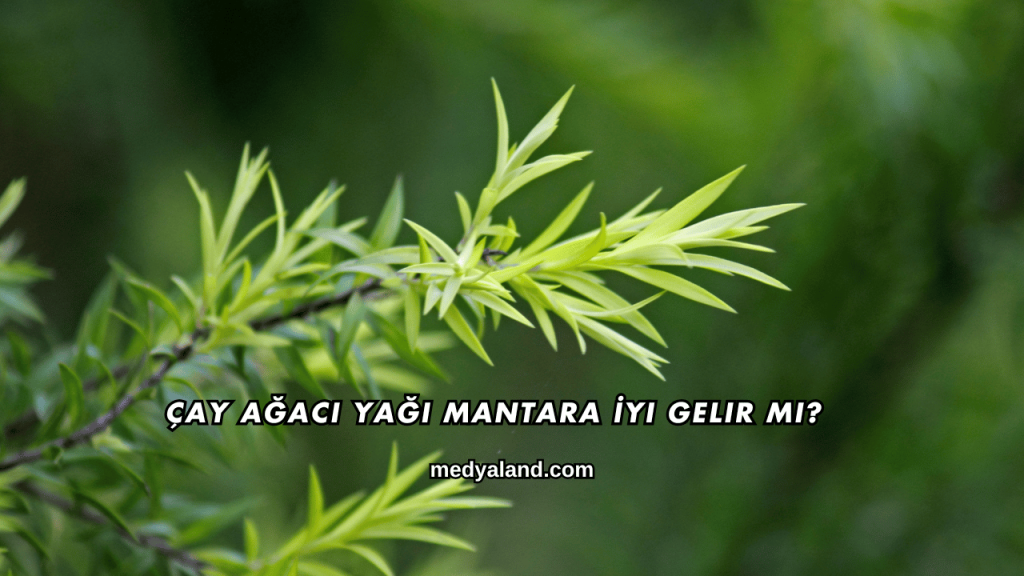 Çay Ağacı Yağı Mantara İyi Gelir mi?
