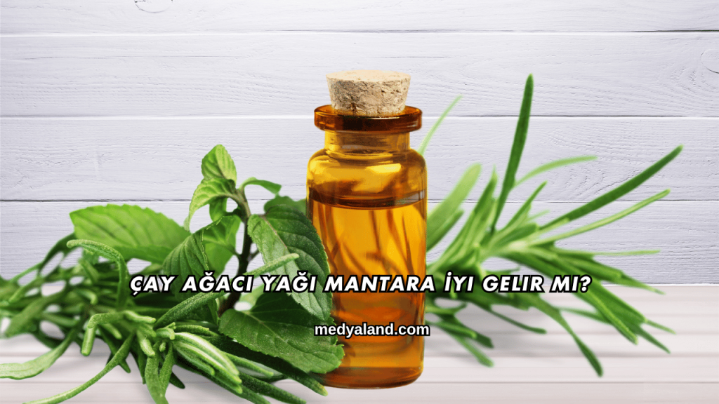 Çay Ağacı Yağı Mantara İyi Gelir mi?