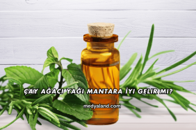 Çay Ağacı Yağı Mantara İyi Gelir mi?