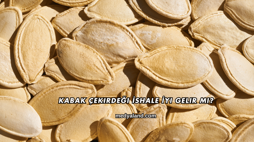 Kabak Çekirdeği İshale İyi Gelir mi?
