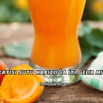 Kayısı Suyu Kabızlığa İyi Gelir mi?