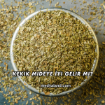 Kekik Mideye İyi Gelir mi?