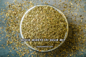 Kekik Mideye İyi Gelir mi?