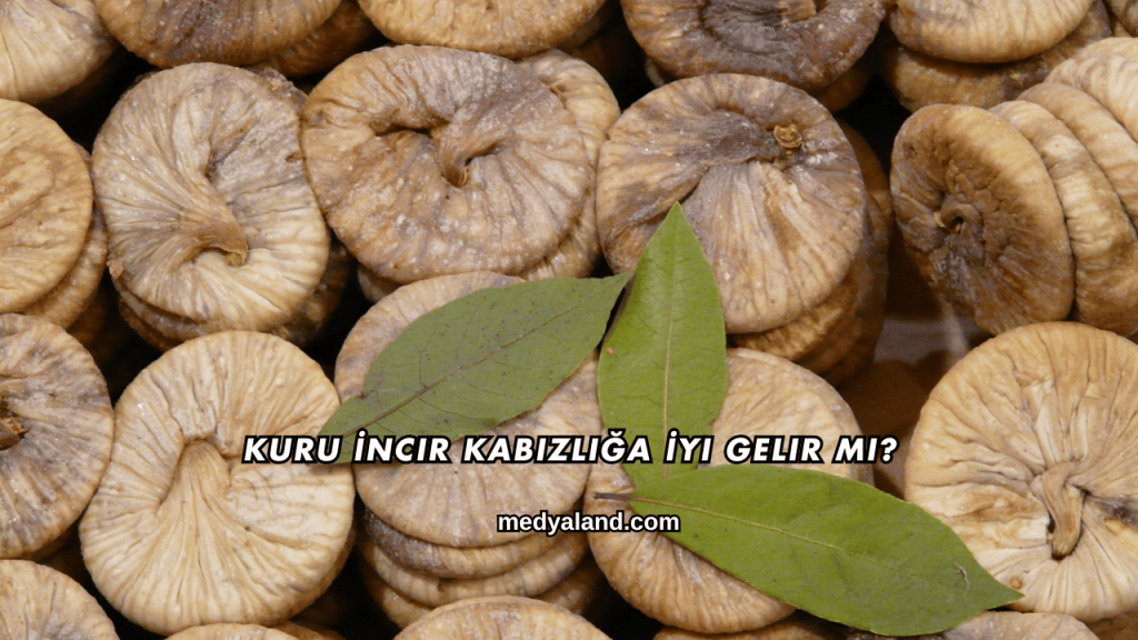 Kuru İncir Kabızlığa İyi Gelir mi?
