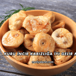 Kuru İncir Kabızlığa İyi Gelir mi?