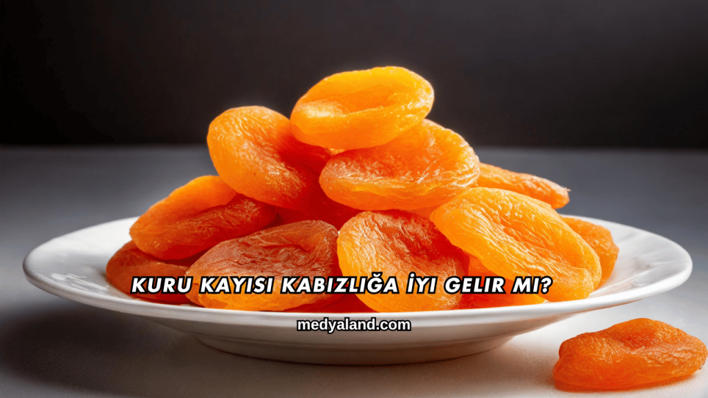 Kuru Kayısı Kabızlığa İyi Gelir mi?