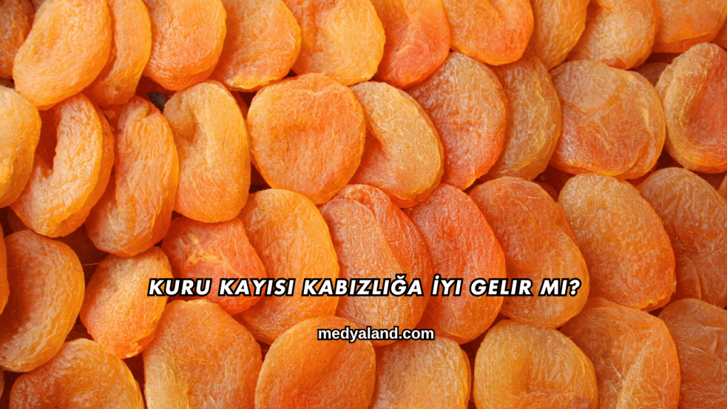 Kuru Kayısı Kabızlığa İyi Gelir mi?