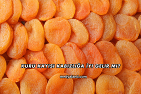 Kuru Kayısı Kabızlığa İyi Gelir mi?