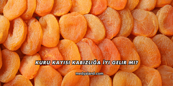 Kuru Kayısı Kabızlığa İyi Gelir mi?