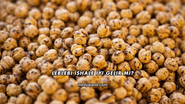 Leblebi İshale İyi Gelir mi?