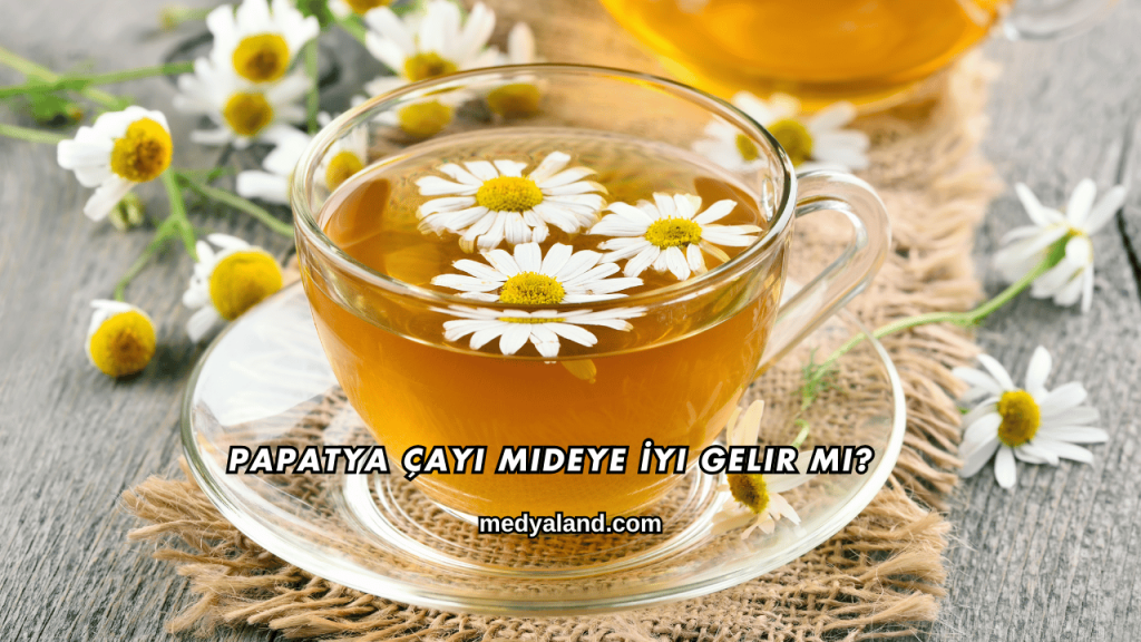 Papatya Çayı Mideye İyi Gelir mi?