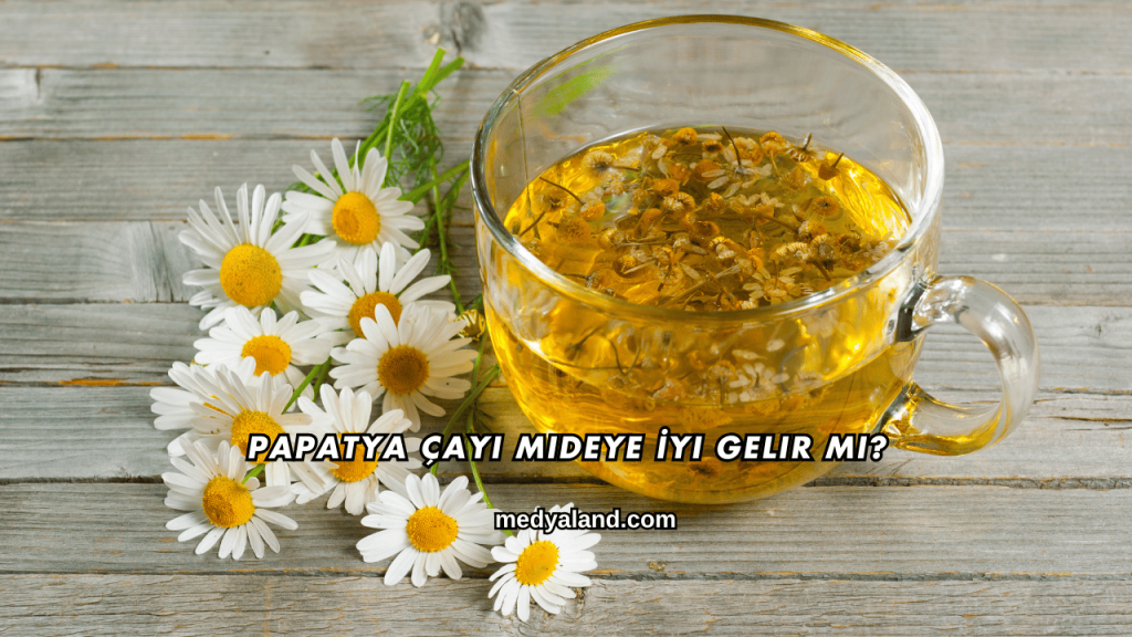 Papatya Çayı Mideye İyi Gelir mi?