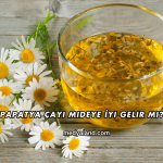 Papatya Çayı Mideye İyi Gelir mi?