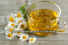 Papatya Çayı Mideye İyi Gelir mi?
