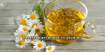Papatya Çayı Mideye İyi Gelir mi?