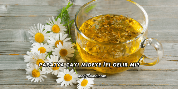 Papatya Çayı Mideye İyi Gelir mi?