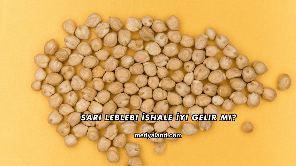 Sarı Leblebi İshale İyi Gelir mi?