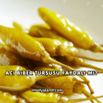 Acı Biber Turşusu Faydalı mı?