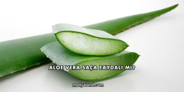 Aloe Vera Saça Faydalı mı?
