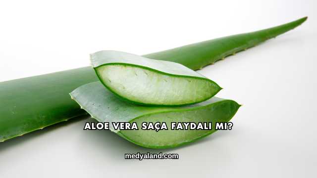 Aloe Vera Saça Faydalı mı?