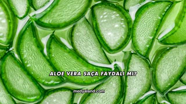 Aloe Vera Saça Faydalı mı?