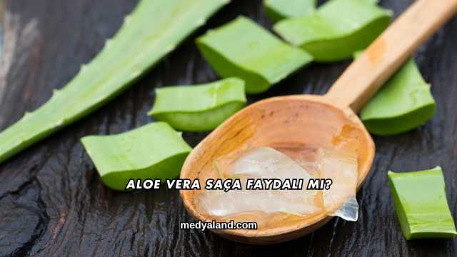Aloe Vera Saça Faydalı mı?