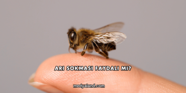 Arı Sokması Faydalı mı?