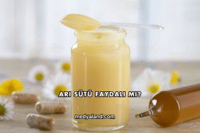 Arı Sütü Faydalı mı?