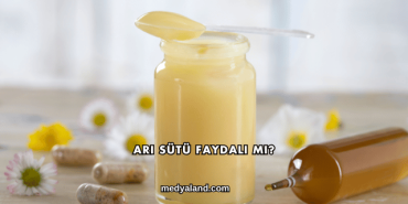 Arı Sütü Faydalı mı?