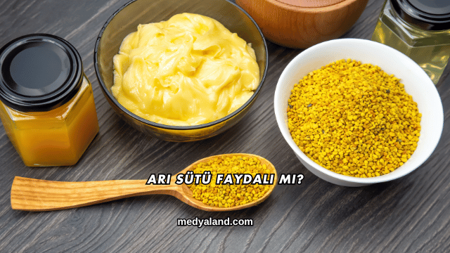 Arı Sütü Faydalı mı?