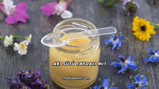 Arı Sütü Faydalı mı?